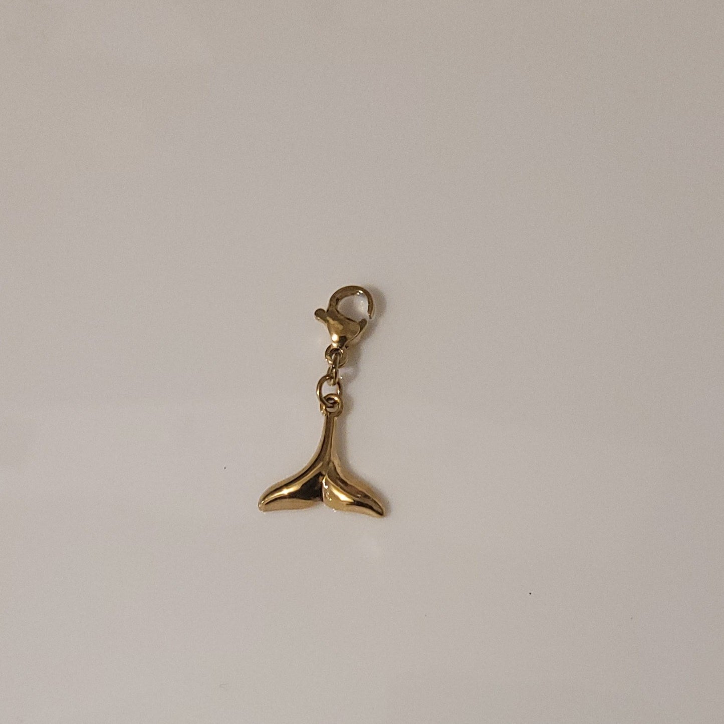CHARMS N°24