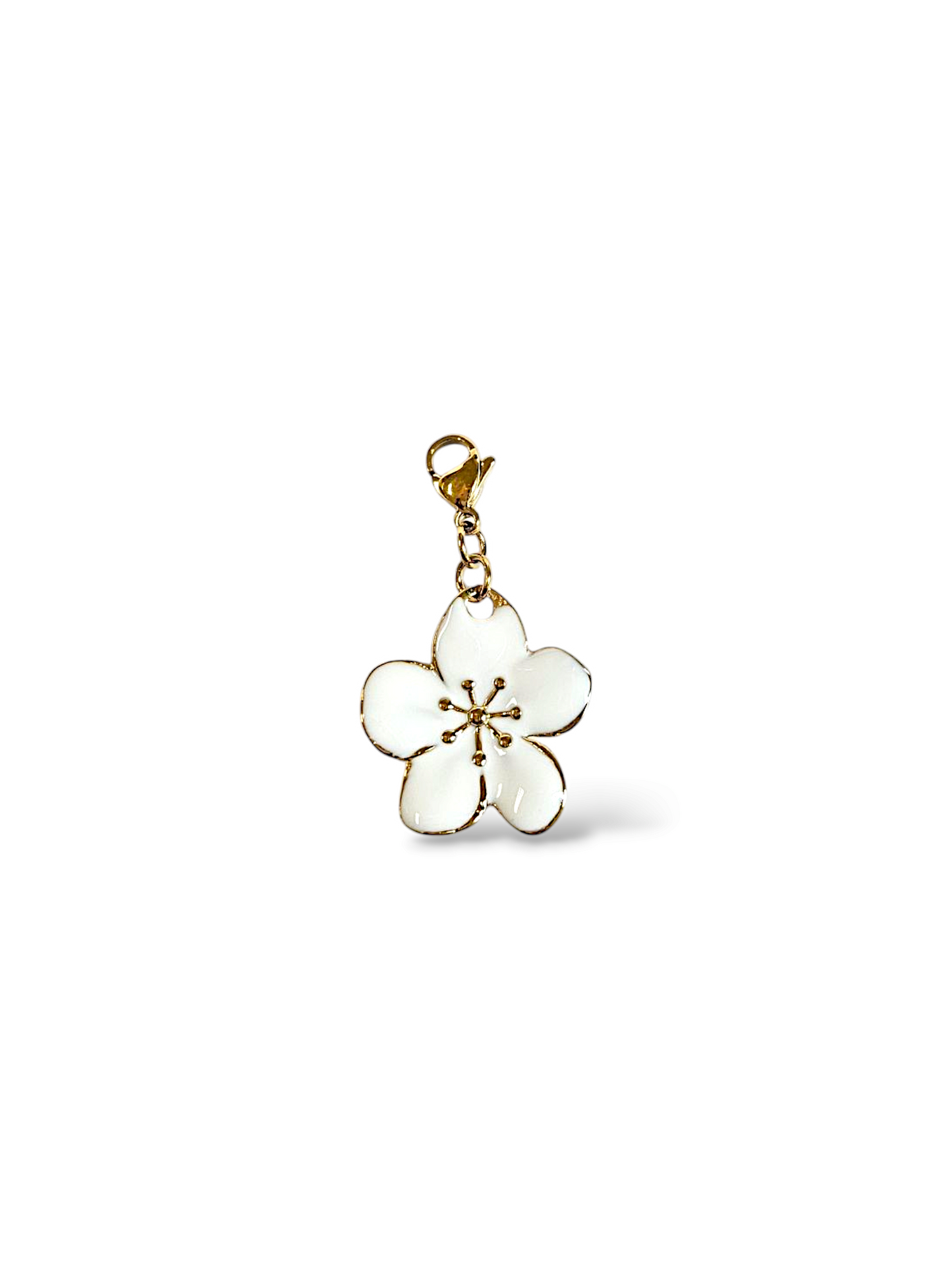 CHARM N°53