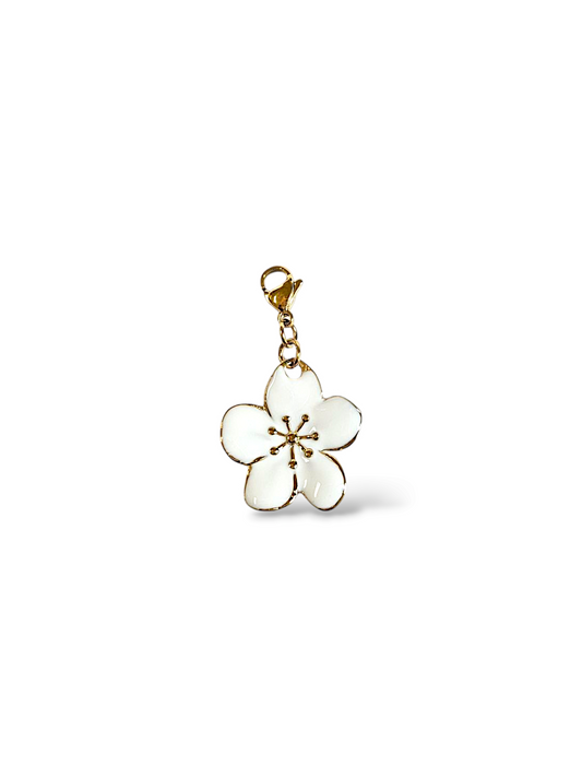 CHARM N°53