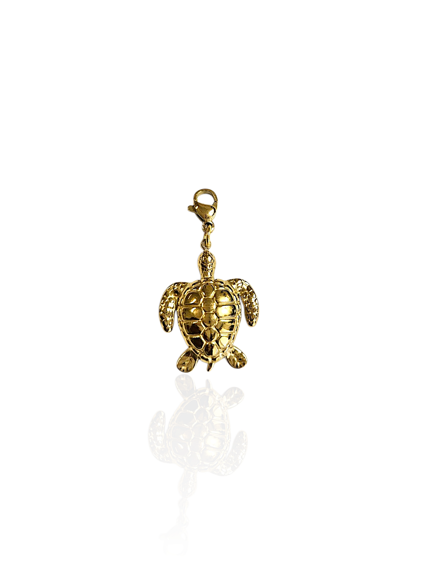 CHARM N°60