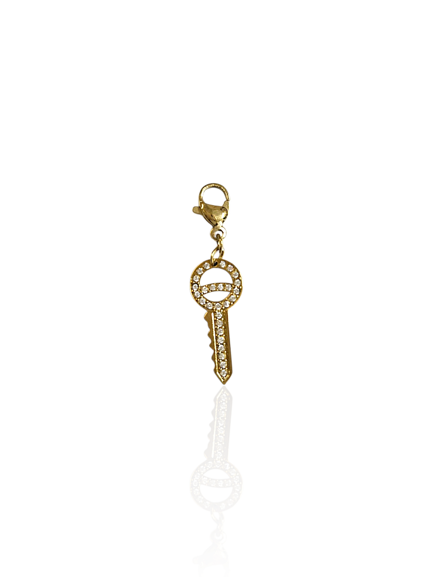 CHARM N°65