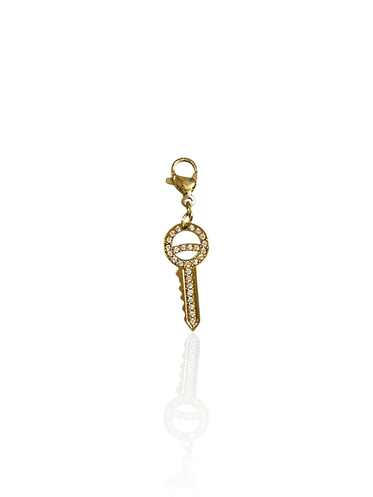 CHARM N°65
