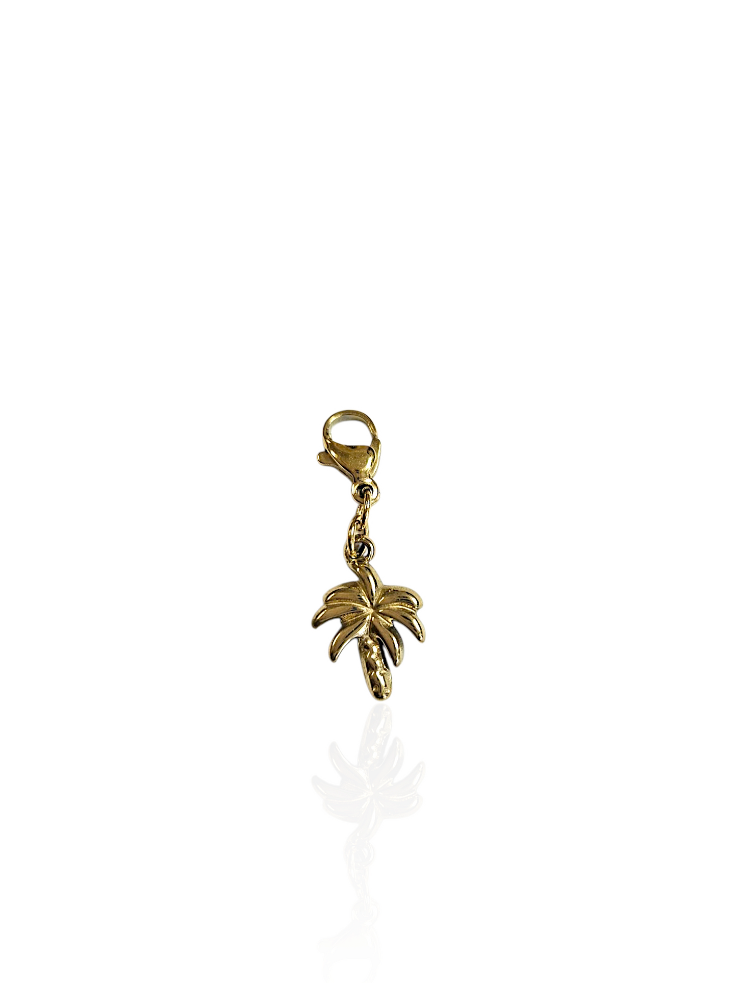 CHARM N°63