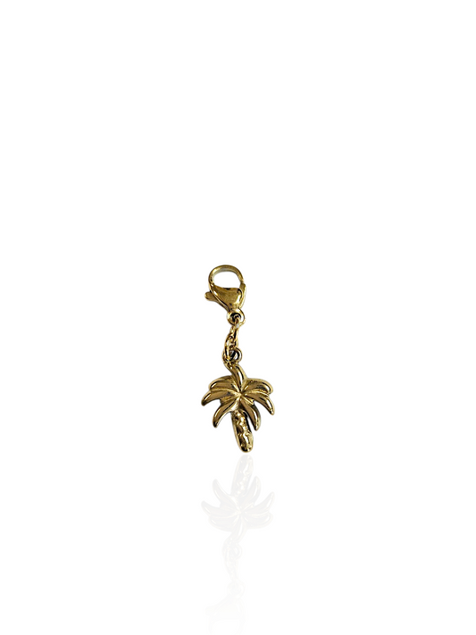 CHARM N°63