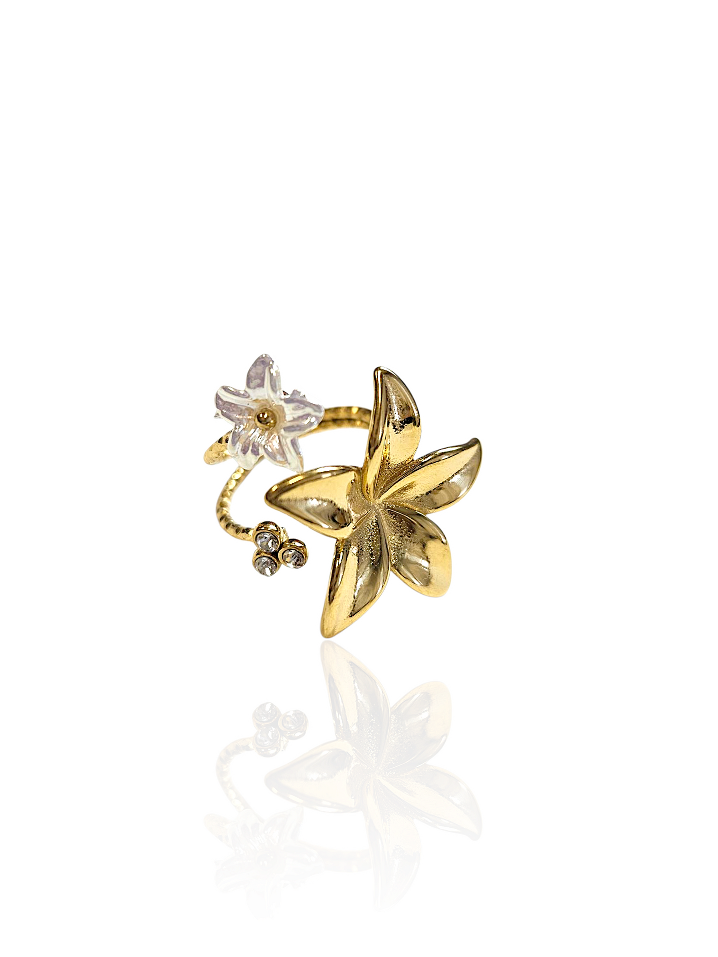 BAGUE MAYA