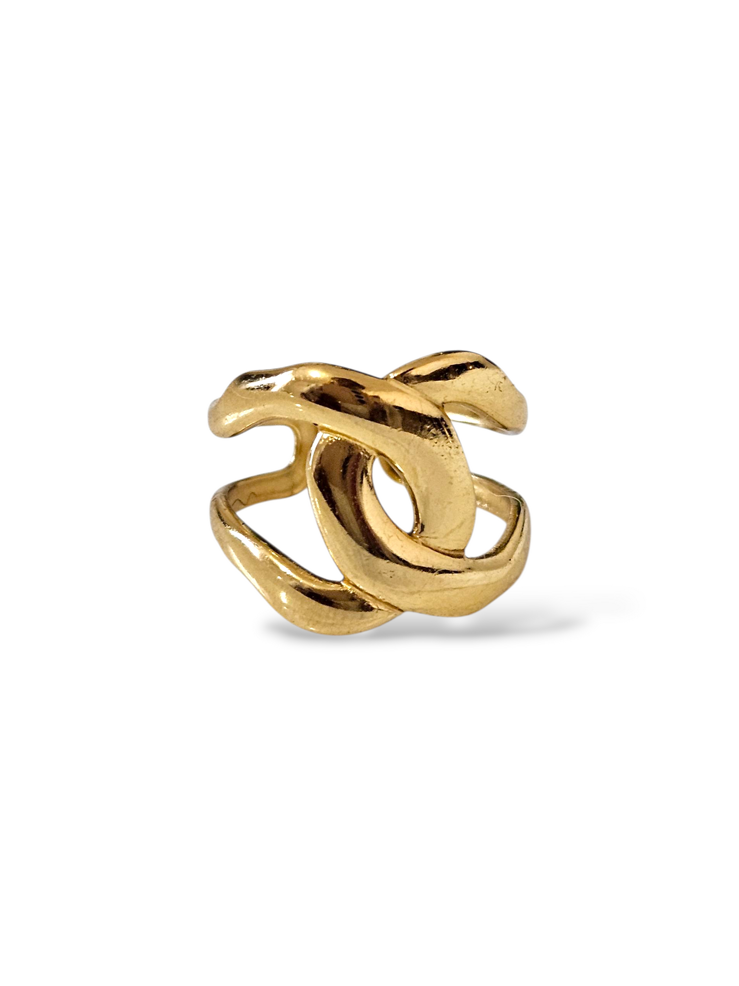 BAGUE LICES