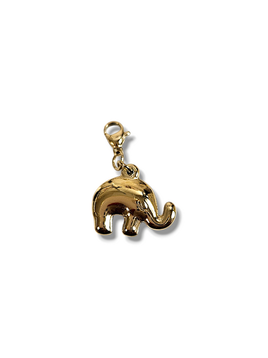 CHARM N°43