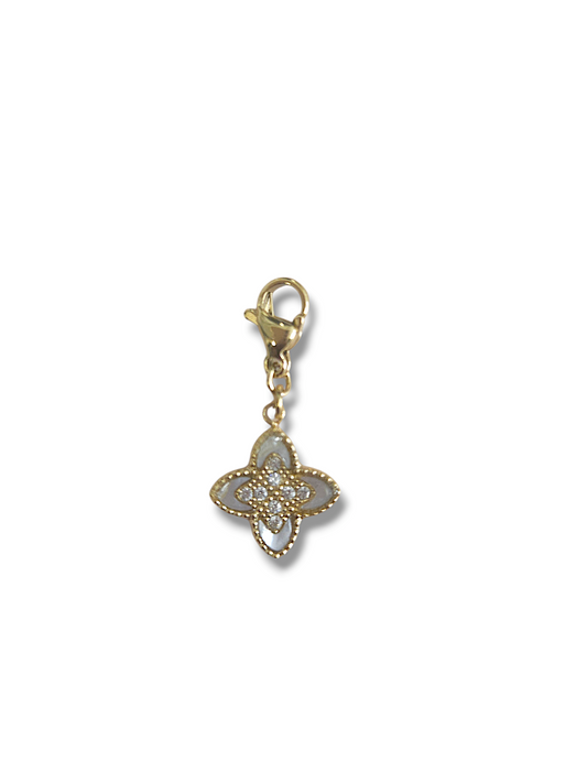 CHARM N°47