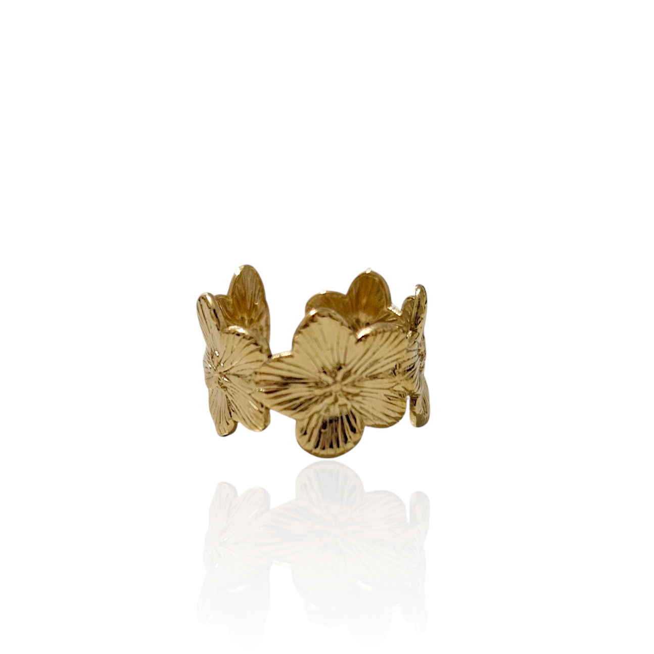 BAGUE GANIER