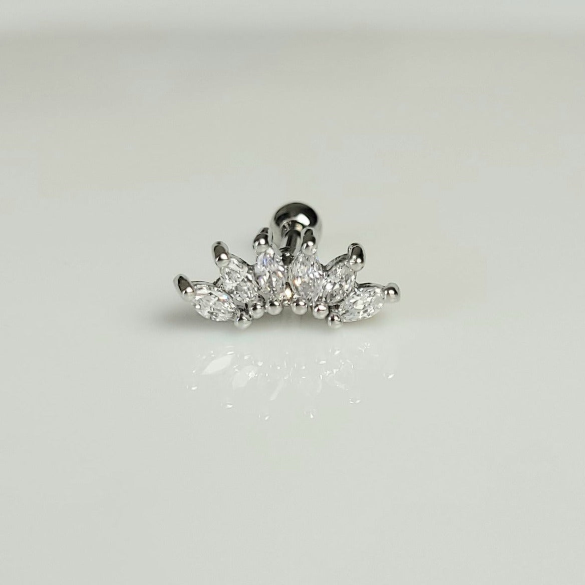 PIERCING "ALBI"