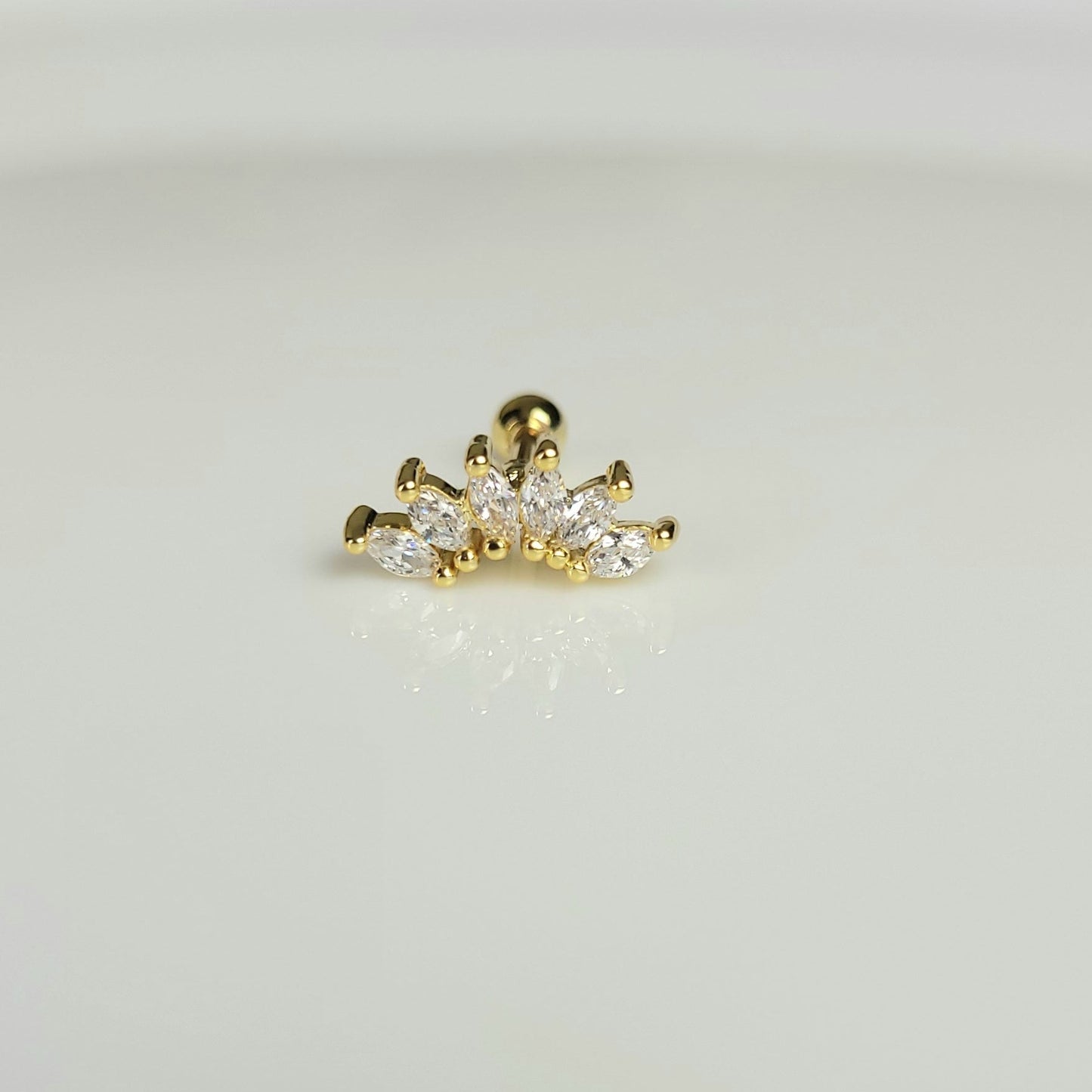 PIERCING "ALBI"