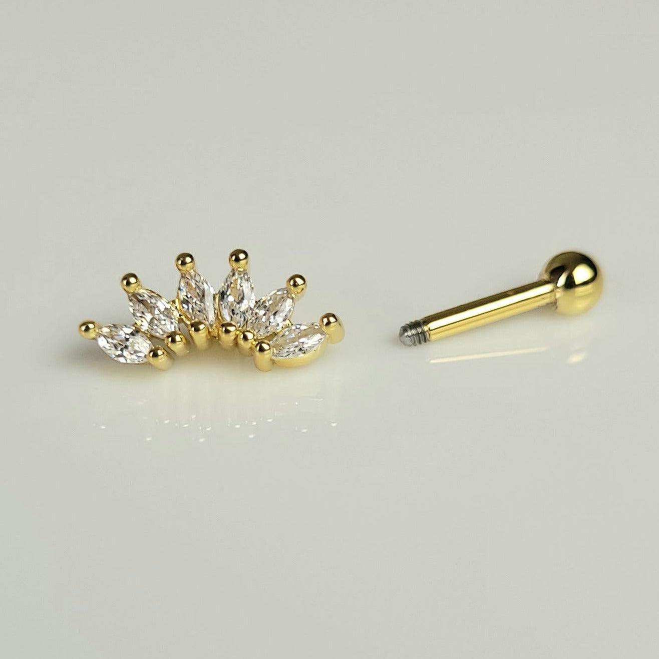 PIERCING "ALBI"