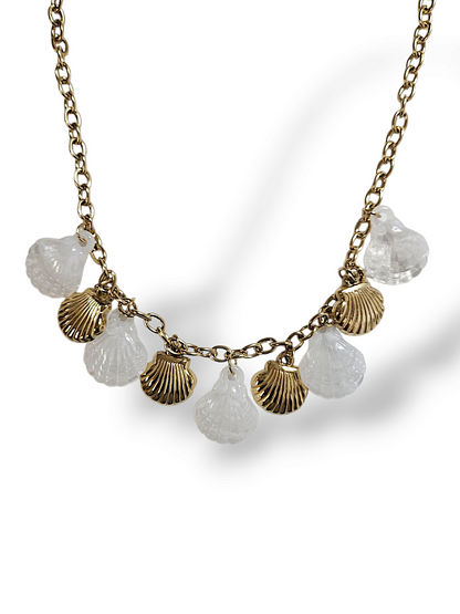 COLLIER LITTORAL