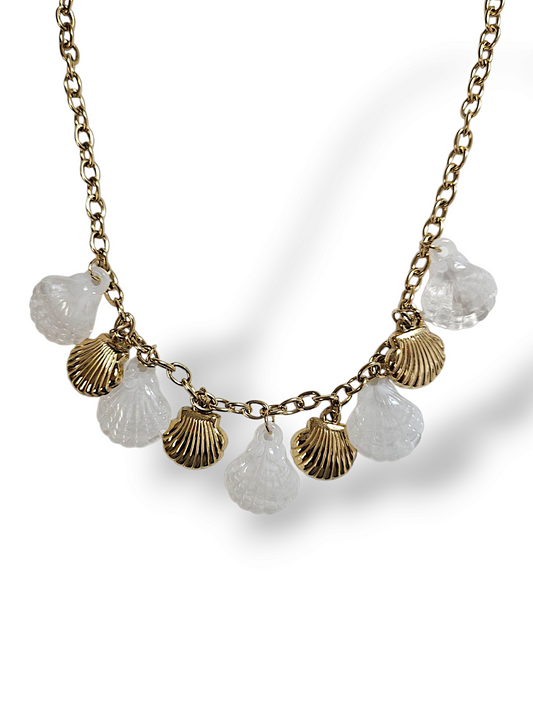 COLLIER LITTORAL