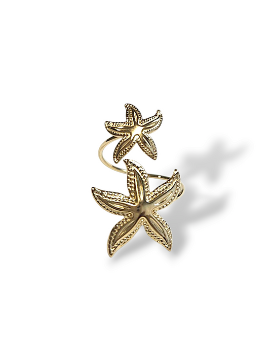 BAGUE TIGUA