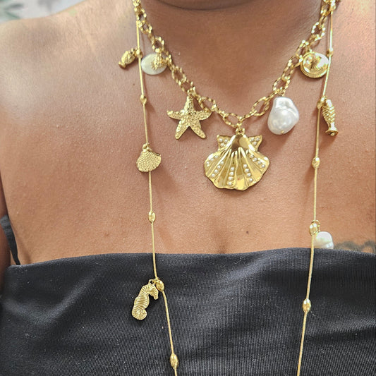 COLLIER EVANEOS