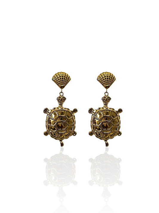 BOUCLE D'OREILLE ROANE