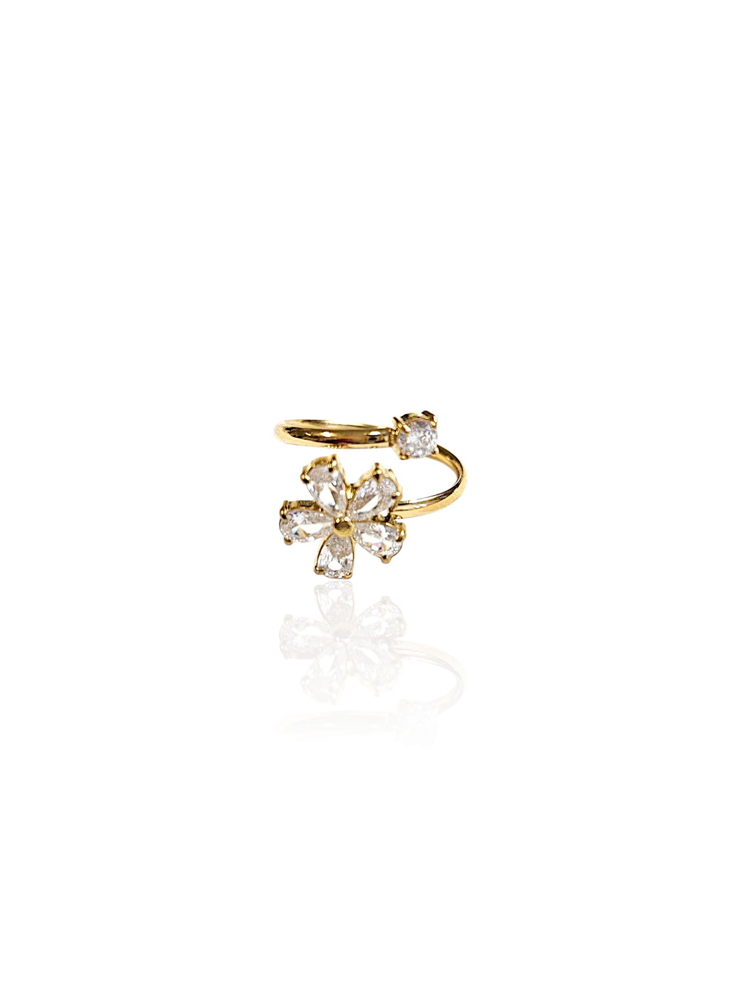 BAGUE ZAKY