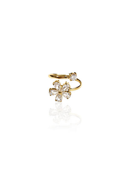 BAGUE ZAKY