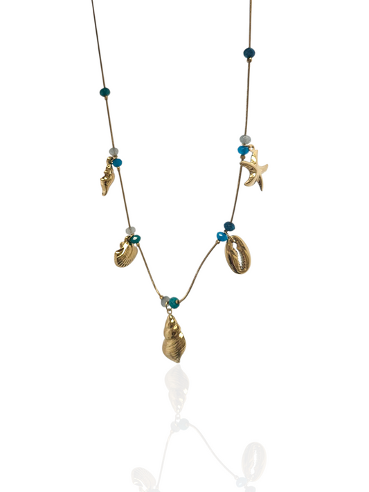 COLLIER MEDINA